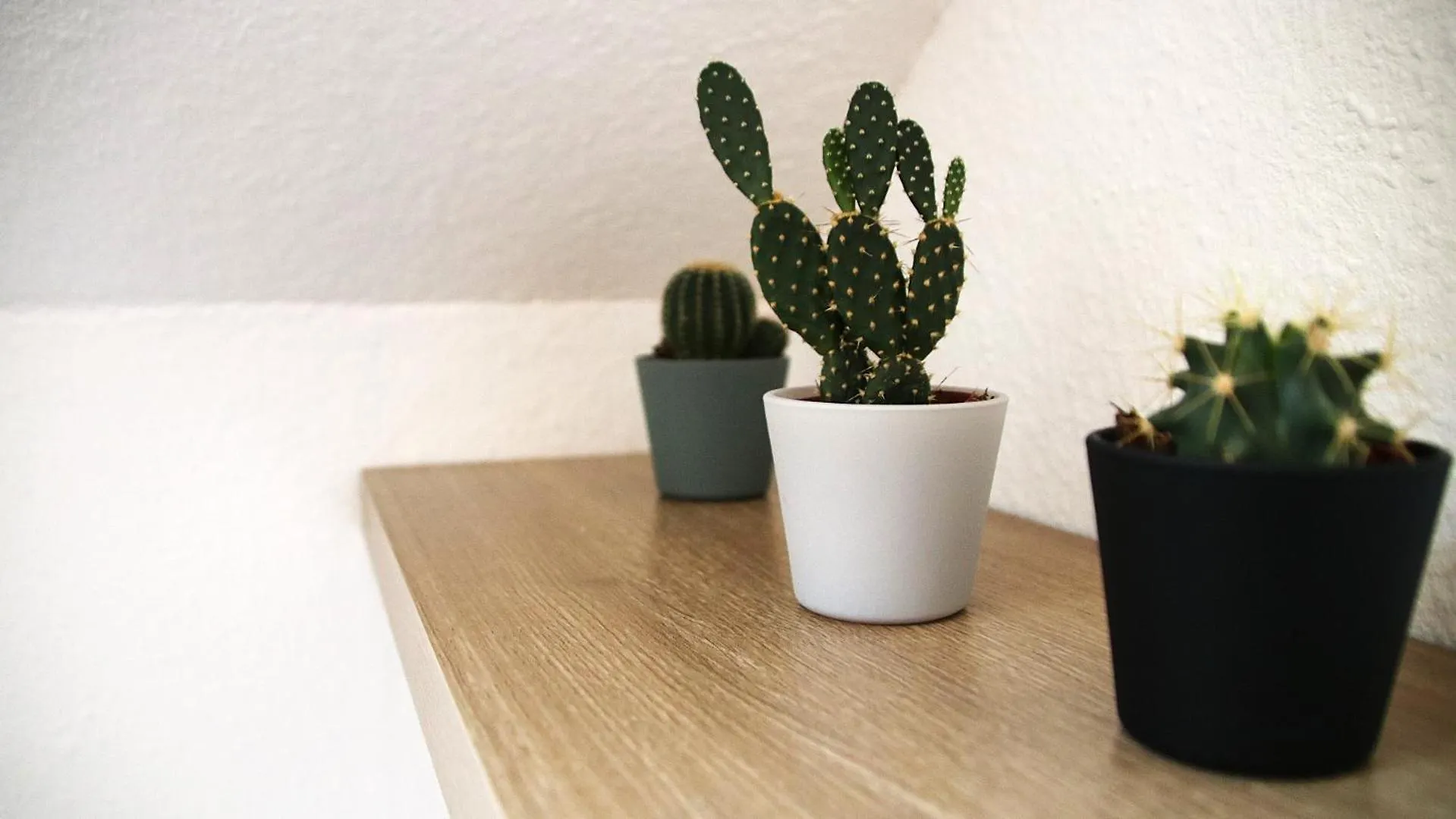 Dimis-Apartment Kolín nad Rýnem